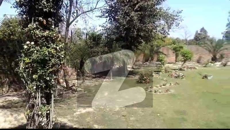 بیدیاں روڈ لاہور میں 8 کنال زرعی زمین 2.0 کروڑ میں برائے فروخت۔