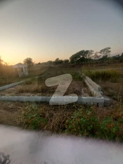 زمر