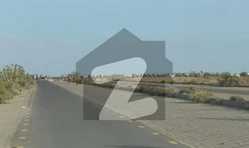 ڈی
