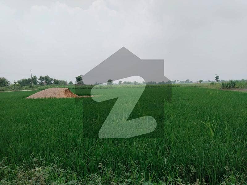Premium 960 Kanal Agricultural Land on Depalpur
