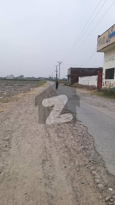 ایمن