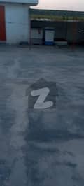 20 