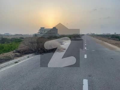 ڈی