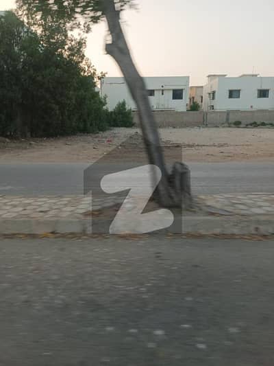 ڈی