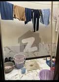 20 