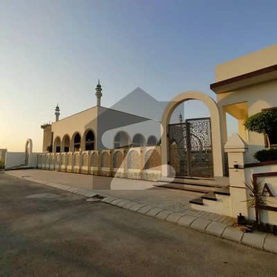 الجدید