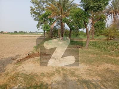 Farm