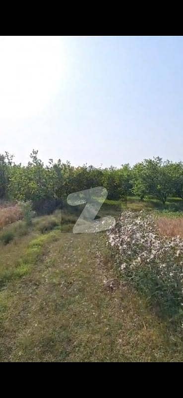 6 Kanal Land For Sale Best Location Khudpur