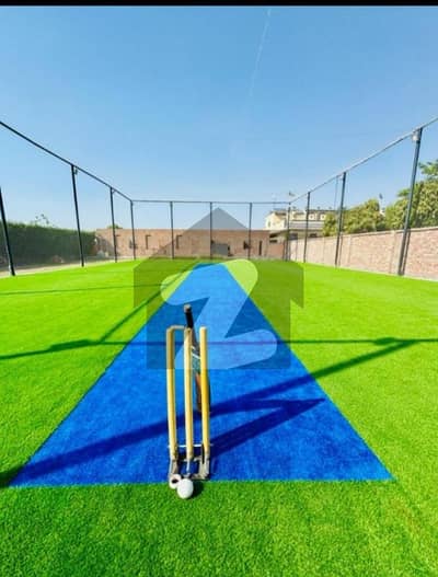 Cricket