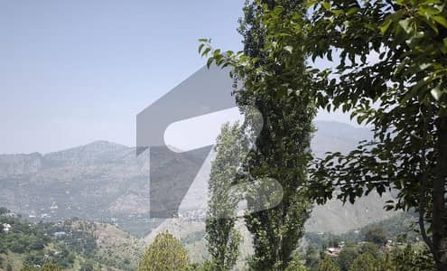 دیگر گلیات میں 1 کنال رہائشی پلاٹ 1.15 کروڑ میں برائے فروخت۔