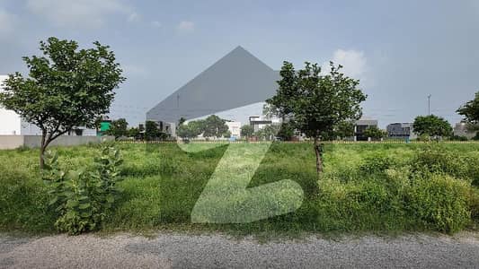 DHA