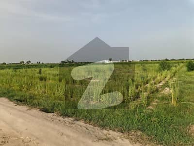 Premium Turnkey Agribusiness: 196 Acres - Fruit Farm (40k Plants), Solar (450kW), Dairy, Fish, Warehouses - Vehari/Multan Rd