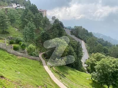 A Stunning Agricultural Land Is Up For Grabs In New Murree New Murree