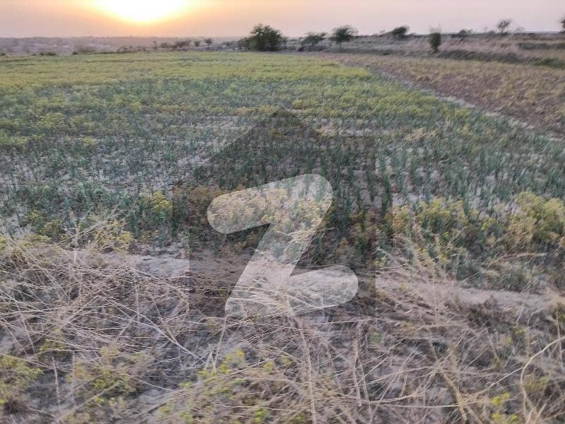 دولتالا راولپنڈی میں 1300 کنال زرعی زمین 26.0 کروڑ میں برائے فروخت۔ دولتالا راولپنڈی میں 1300 کنال زرعی زمین 26.0 کروڑ میں برائے فروخت۔