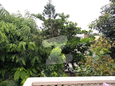 ڈی