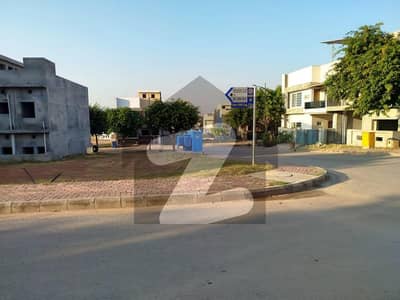 Plot
