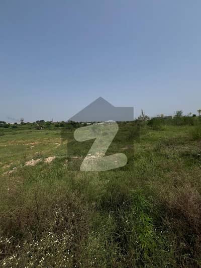 زمر