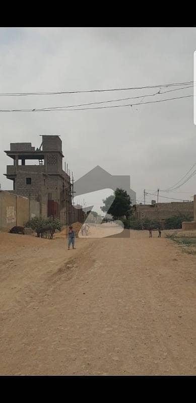 سُرجانی