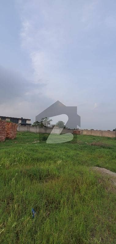 6 KANAL HALF FARM HOUSE FOR SALE