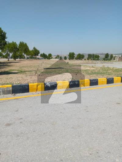 ڈی