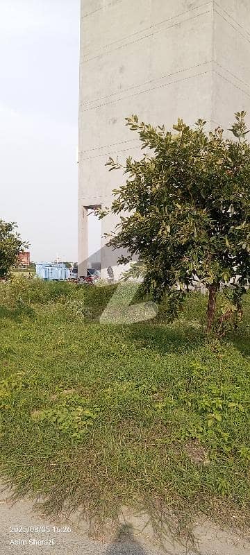 ڈی
