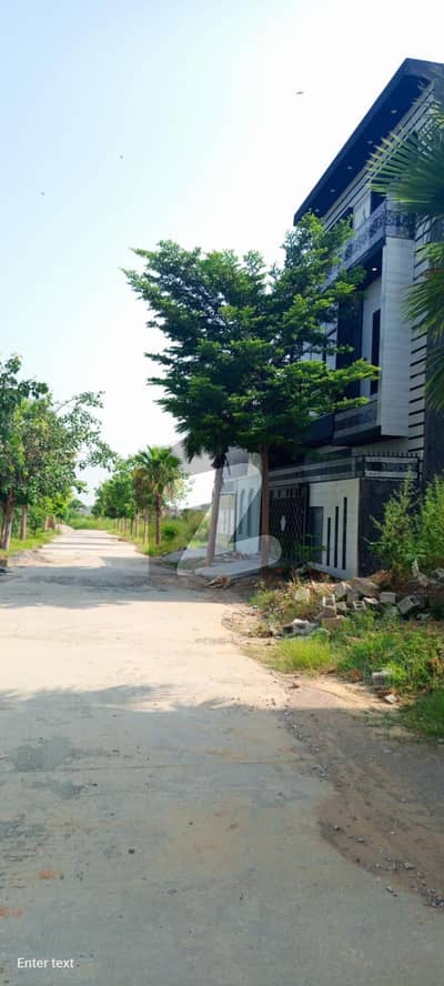زمر