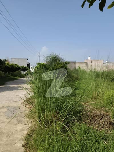 زمر