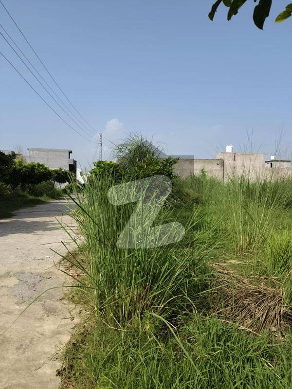 Residential Plot For Sale In Zamar Valley Islamabad