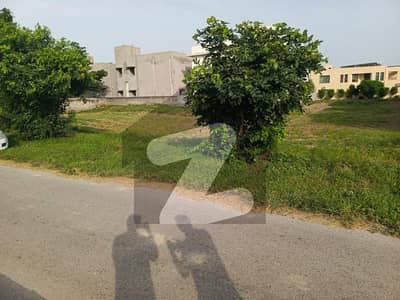 ڈی