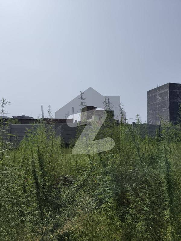 Residential Plot for Sale In Zamar Valley Islamabad