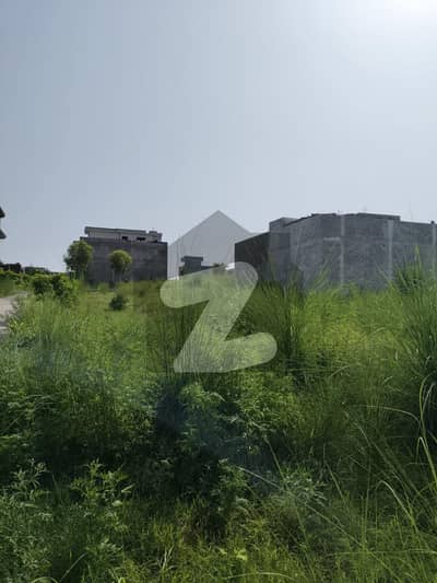 زمر