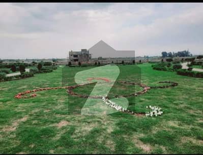 حیات
