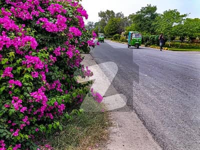 22 Marla Upper Portion For Rent In Wapda Town Phase 2