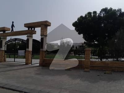 ڈی