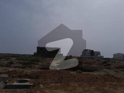 ڈی