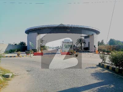 وادی