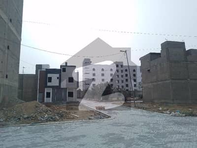 نارتھ