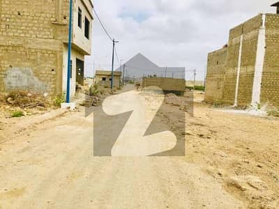 نارتھ