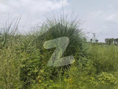جاپان