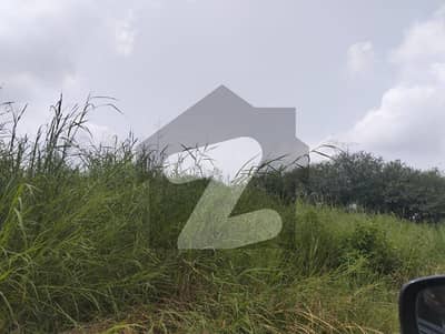 جاپان