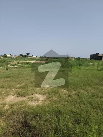 Residential Plot for Sale In Zamar Valley Islamabad