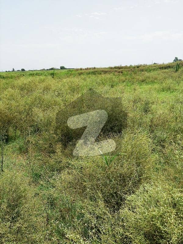 10 Marla Plot For Sale