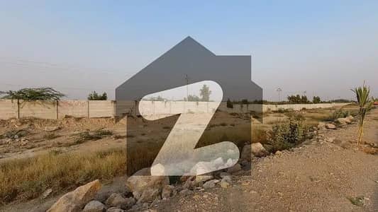 سعدی