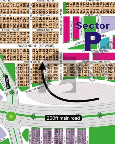 Sector
