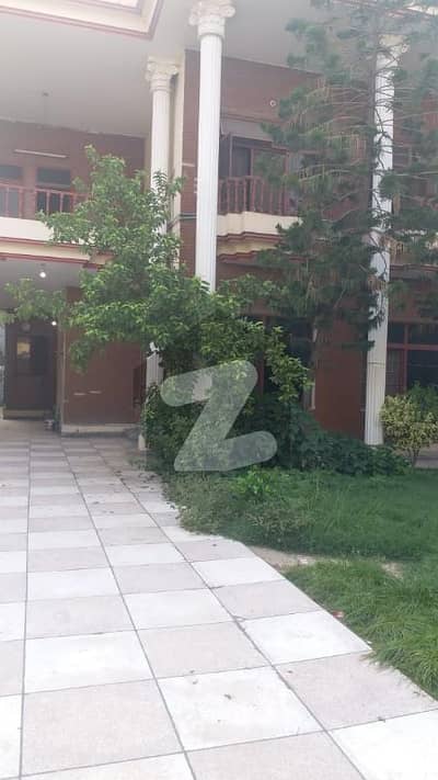 مدینہ