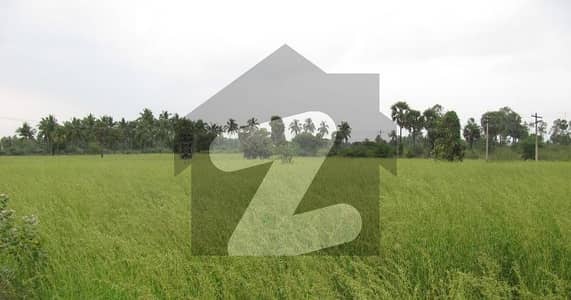Farm House Land For Sale  Video And Current Location Available