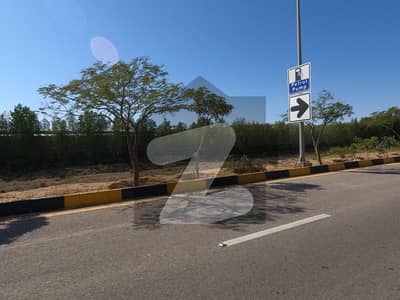 Prime Location Residential Plot Sized 125 Square Yards Available In DHA City - Sector 3D