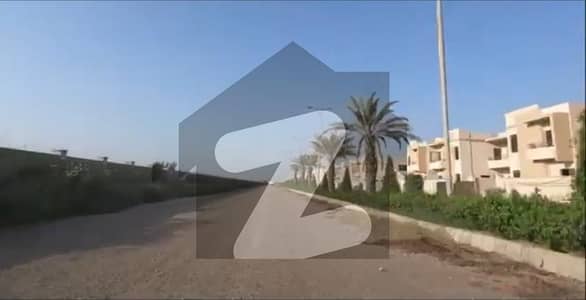 صائمہ
