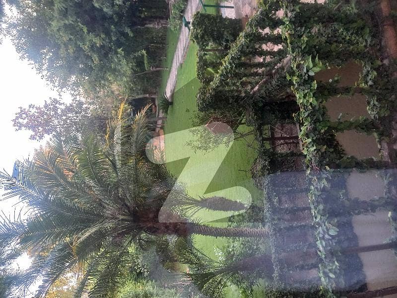 F10 Beautiful House For Rent F10 Beautiful House For Rent