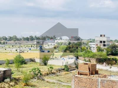 زمر